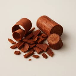 akajou ağacı