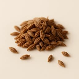 anise
