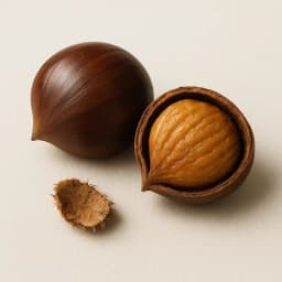 chestnut