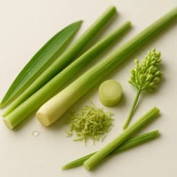 sitronella