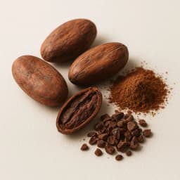 cocoa