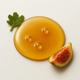fig nectar