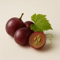 üzüm