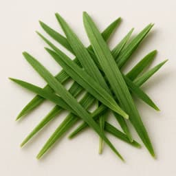 çimen