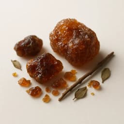labdanum
