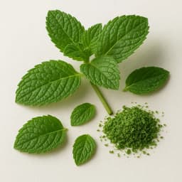 mint