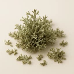 oakmoss