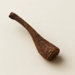 pear stem
