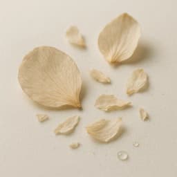 Petalia