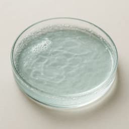 sea water