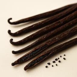 bourbon vanilla