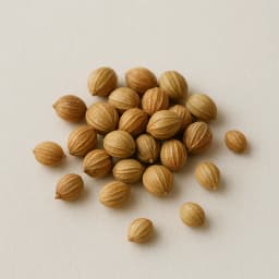 kişniş tohumu