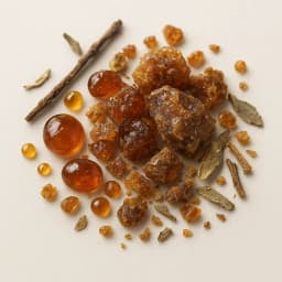 french labdanum