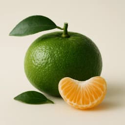 green mandarin