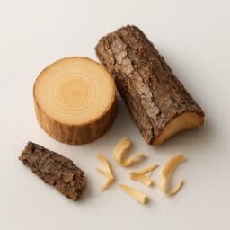 hinoki ağacı