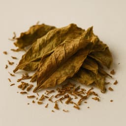 tobacco