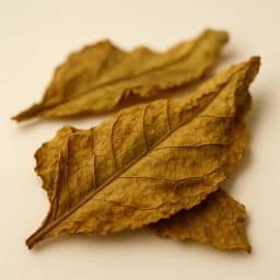 tobacco leaf