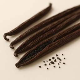 vanilla bean