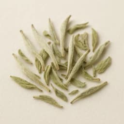 white tea